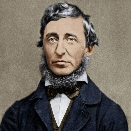 هنری دیوید توریو